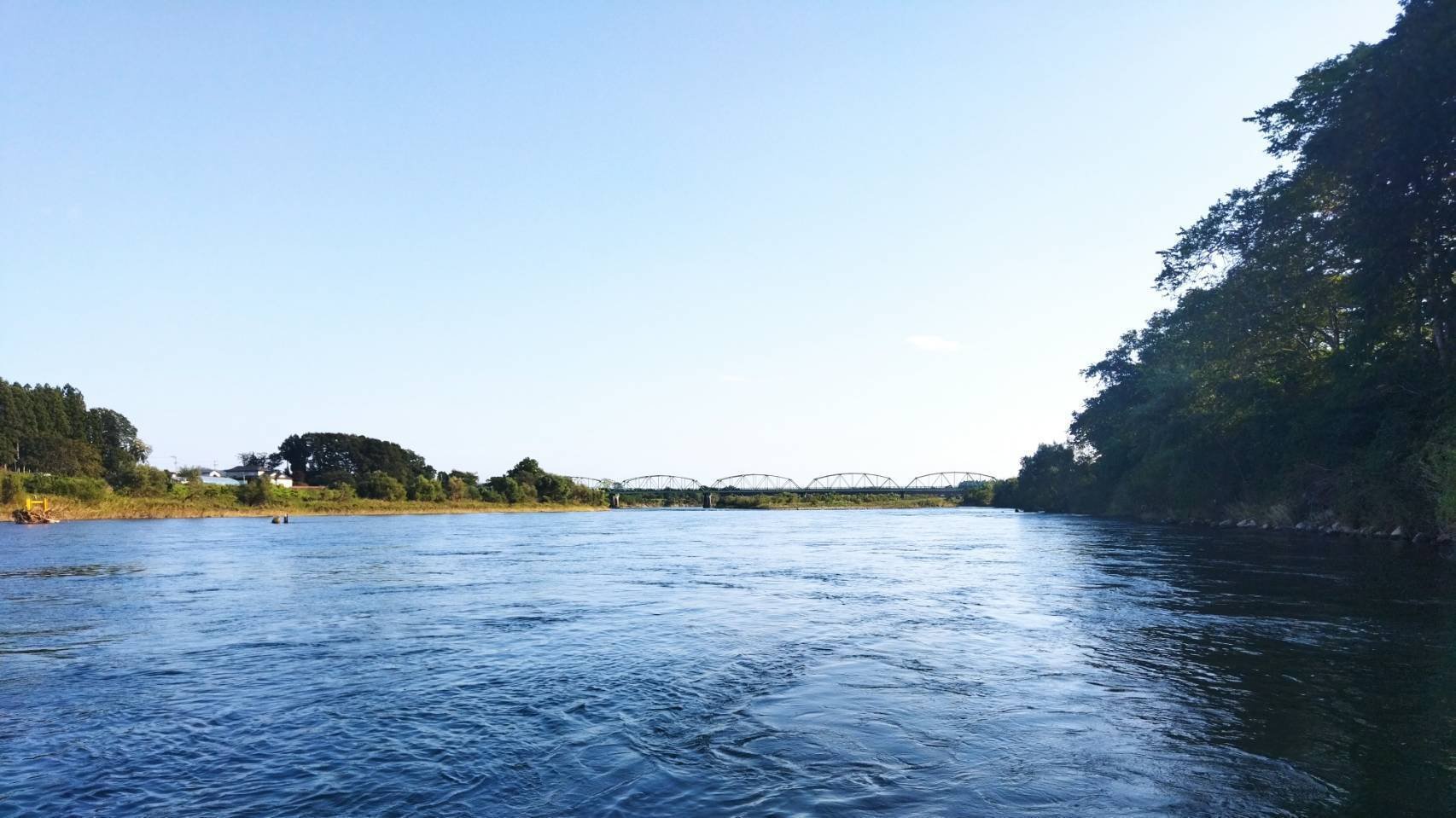 宮沢賢治二枚貝の化石イギリス海岸