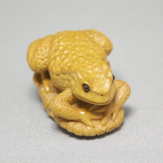 作品紹介】『 草履に蛙 』の謎 前編｜伝吉_TellGlad