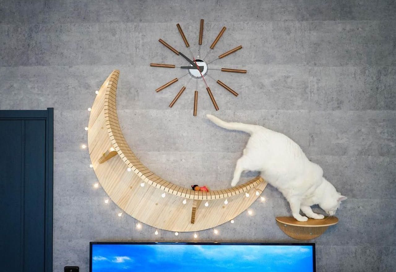 インテリアとしてもインパクト抜群！三日月型のかわいすぎる猫ちゃん用