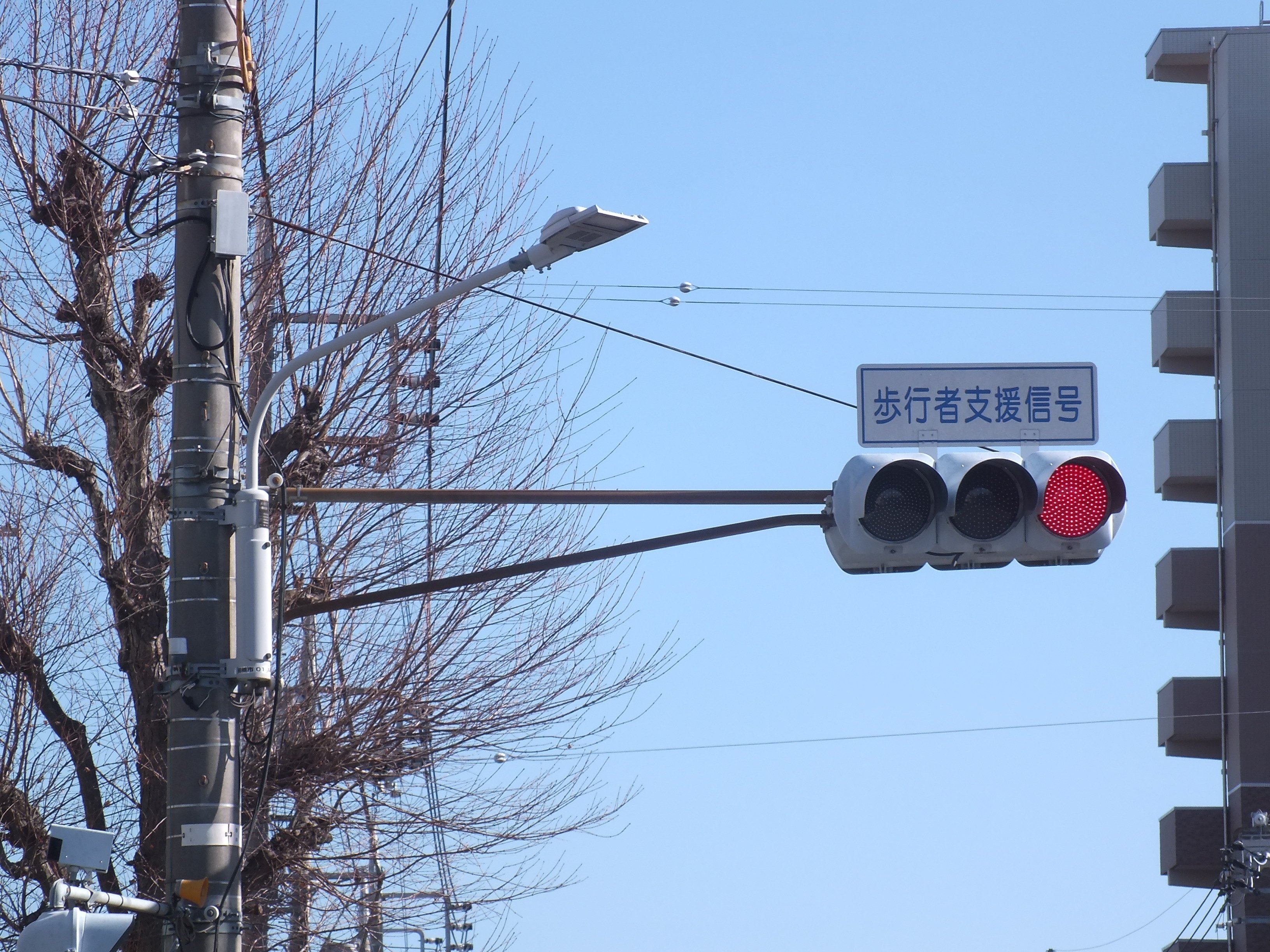 信号機 本物 小糸工業 小糸工業歩行者用信号機本物 小糸工業歩行者用