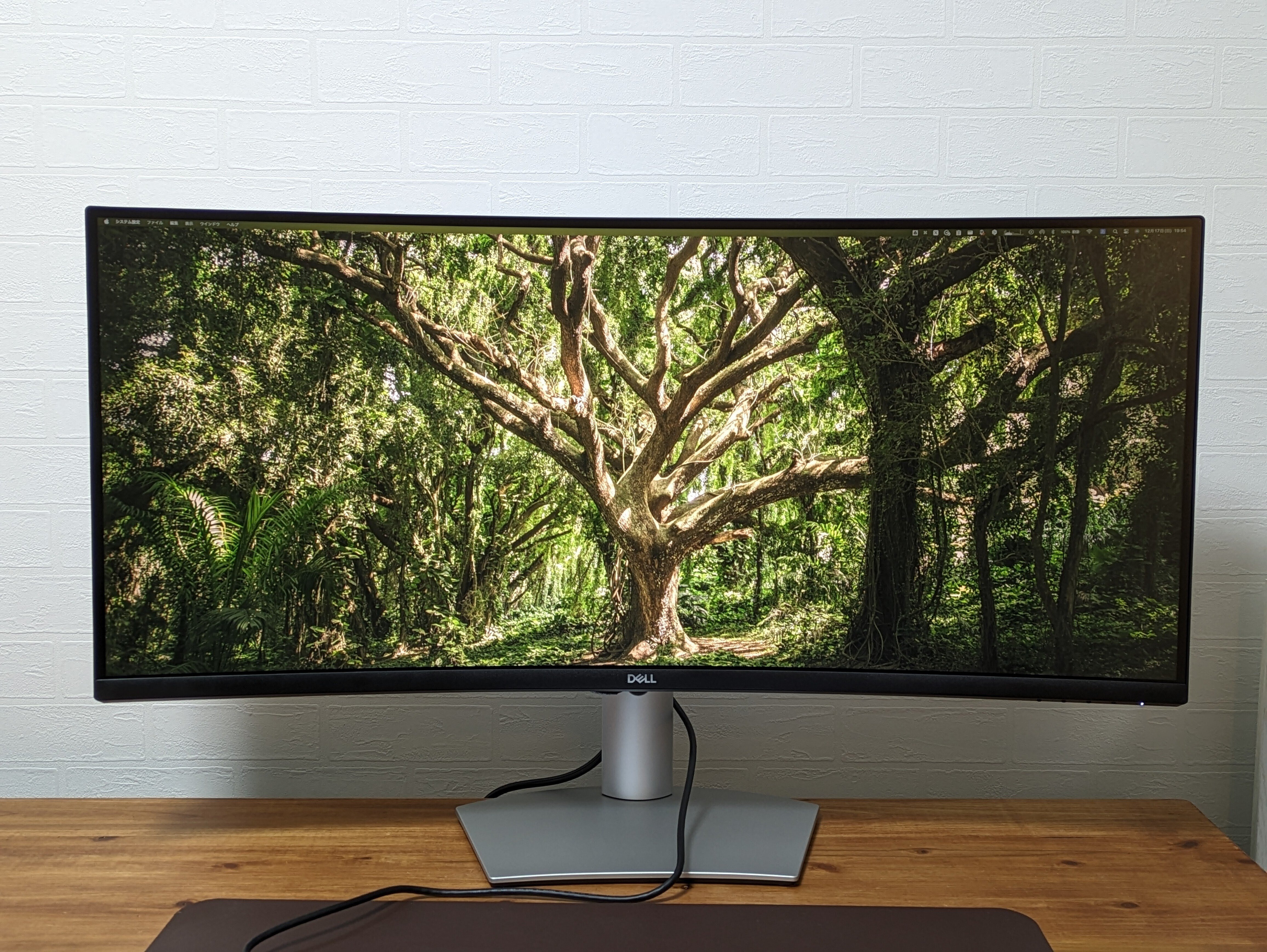 なんちゅう没入感！！ウルトラワイドモニターで得た超集中［PR］｜tacoyaky