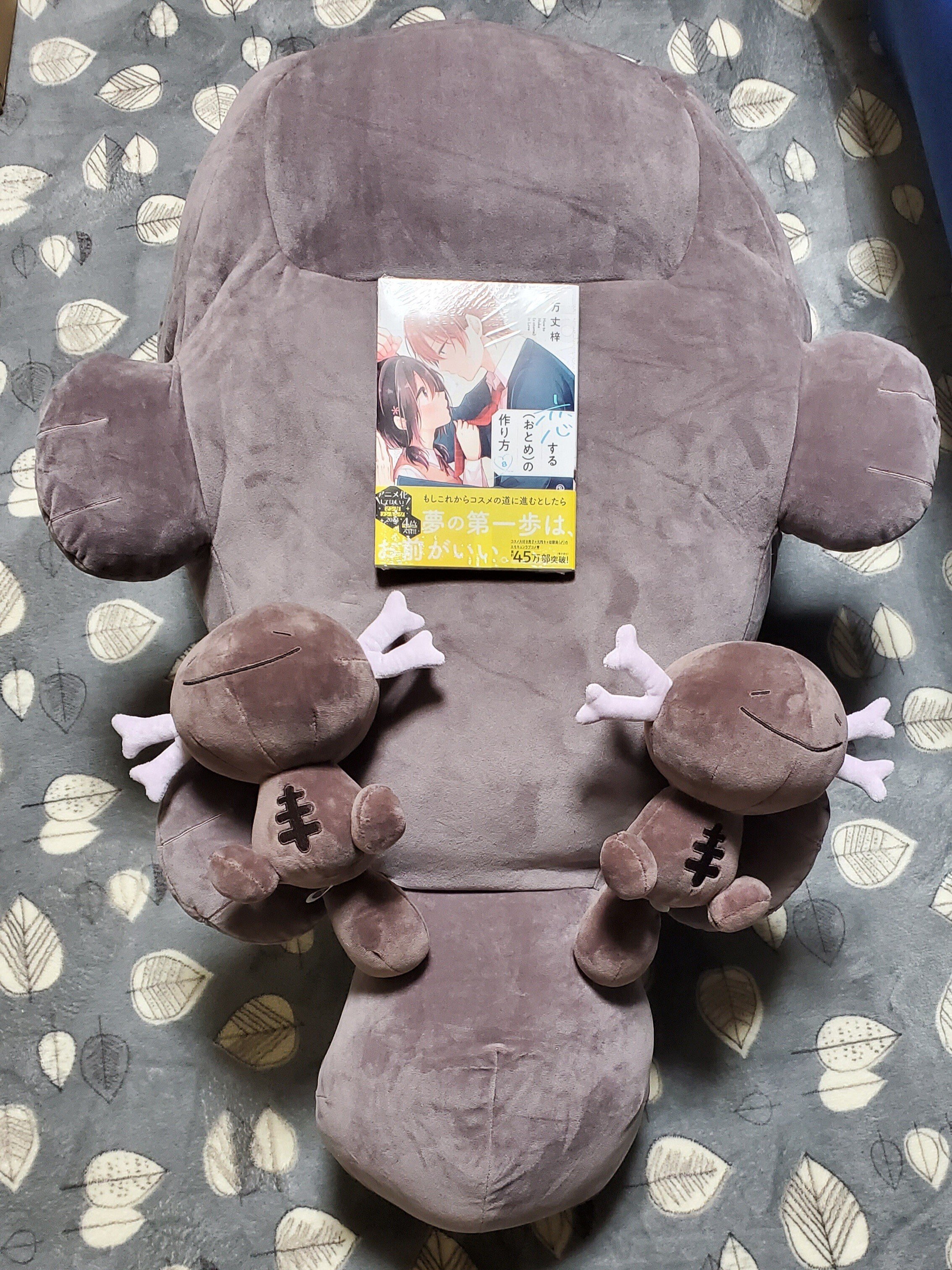 ☆ポケモンぬいぐるみ いっしょにあくび…いやされドオーぬいぐるみ