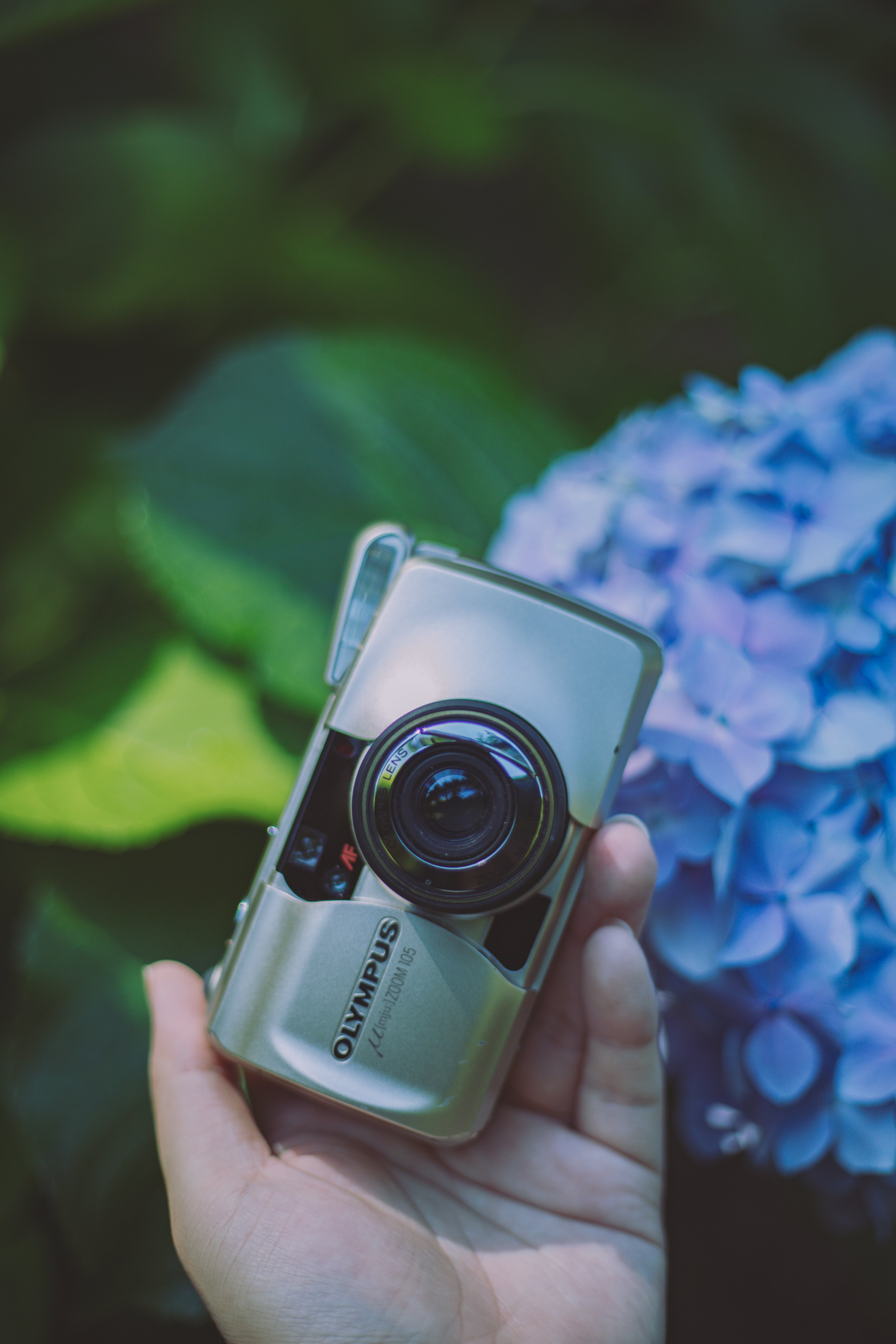 ✨完動】OLYMPUS μ ［ミュー］zoom105（海外モデル）F-7 【公式通販】