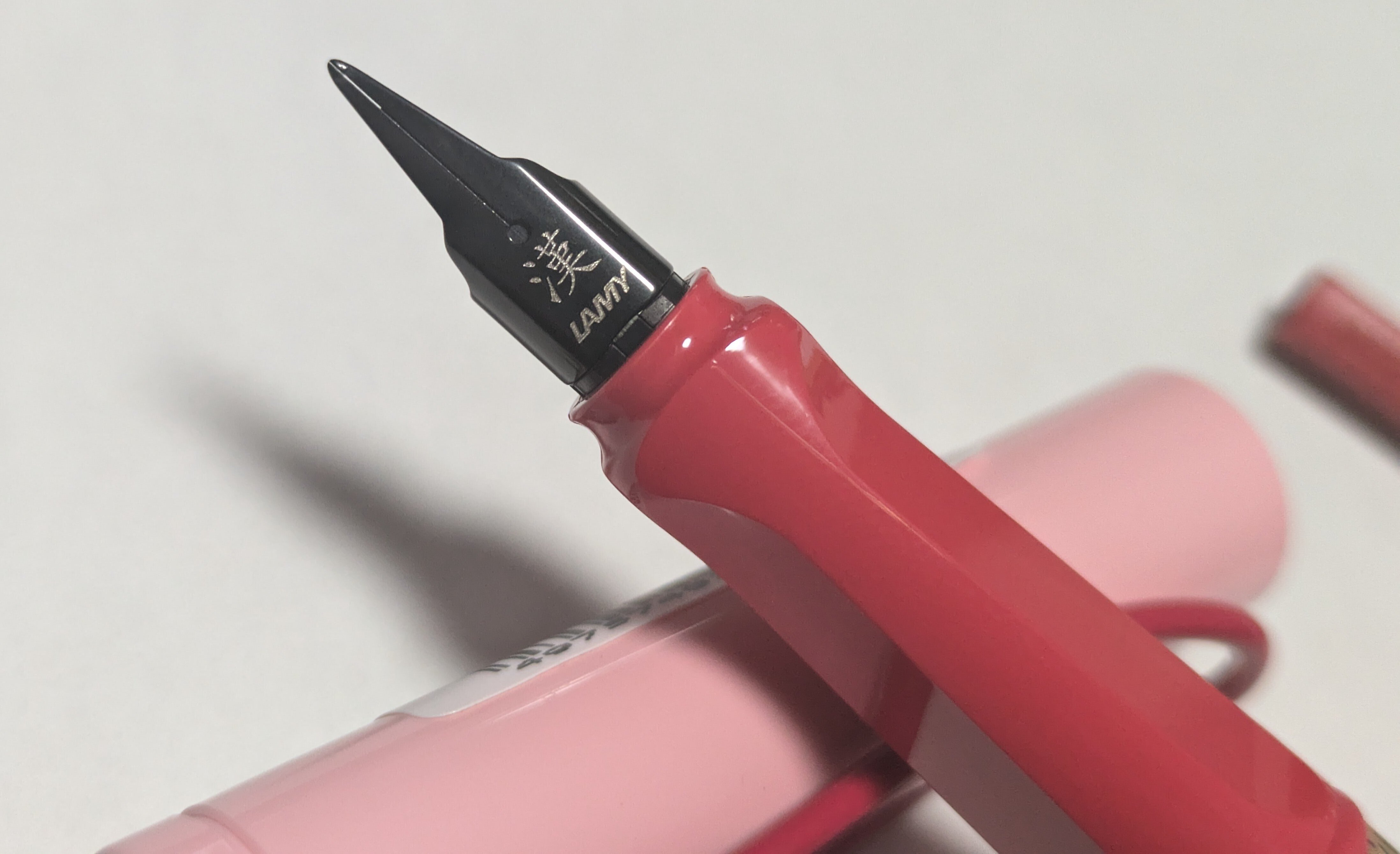 ラミーサファリ チェリーブロッサム 漢字ニブ｜ゆうこ