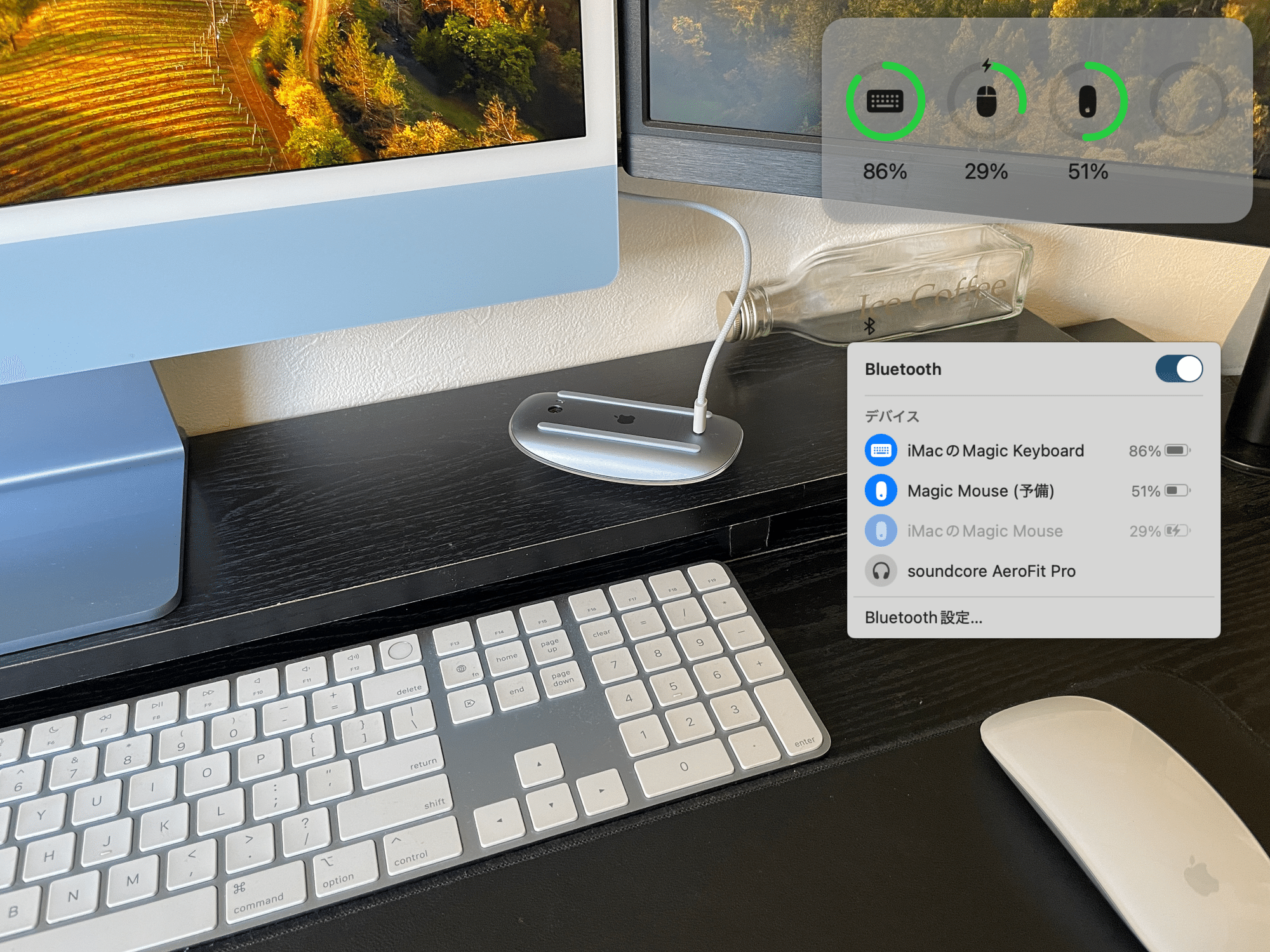 apple PC【 電源ケーブル マウス キーボード】 【公式通販】