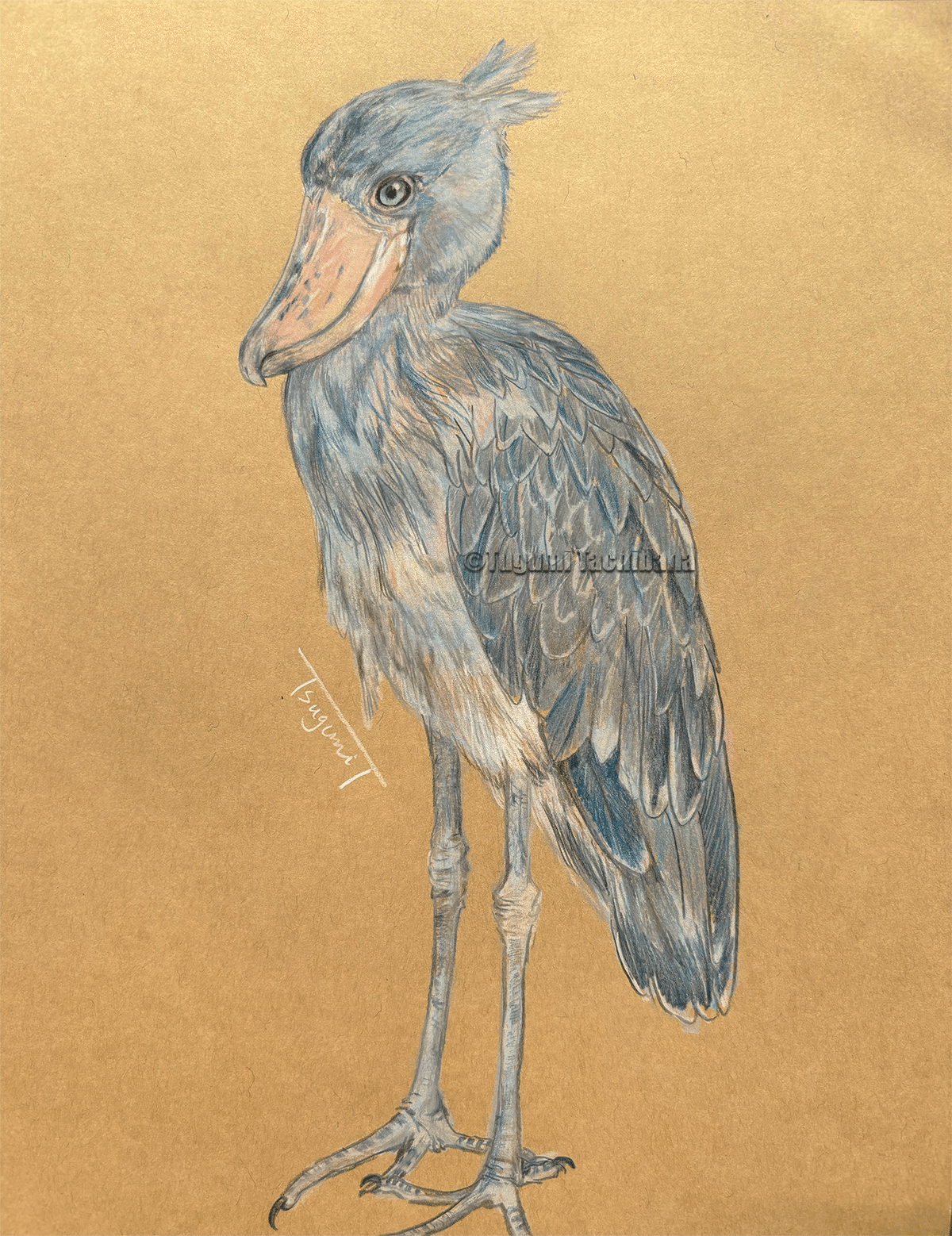 油絵 専用 小鳥さんのかくれんぼ1 見つけようとしている小鳥 油絵