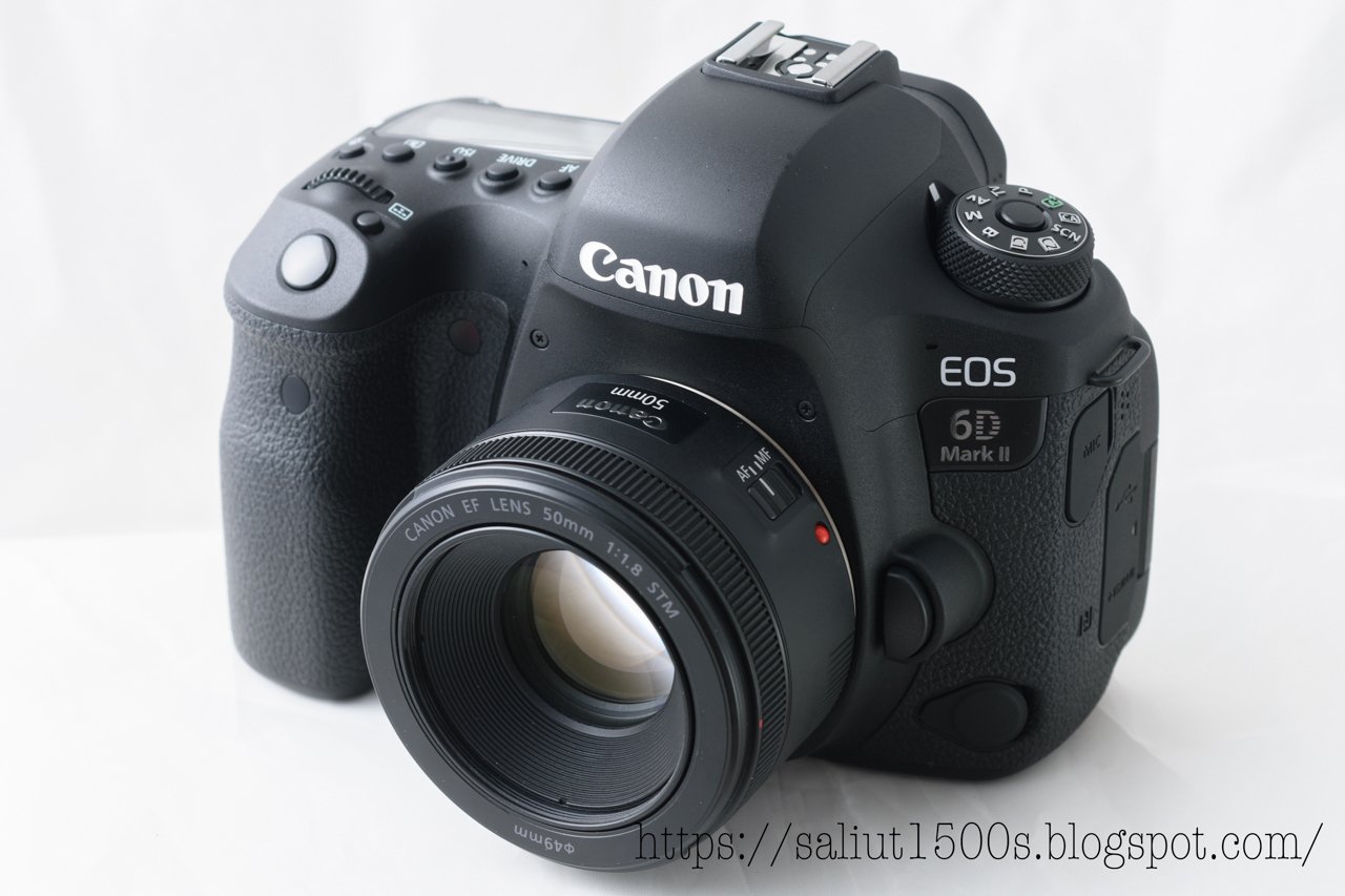 Canon EOS 1DX EF 50mm f1.8 STM レリーズ回数13万 Canon EOS 1DX EF