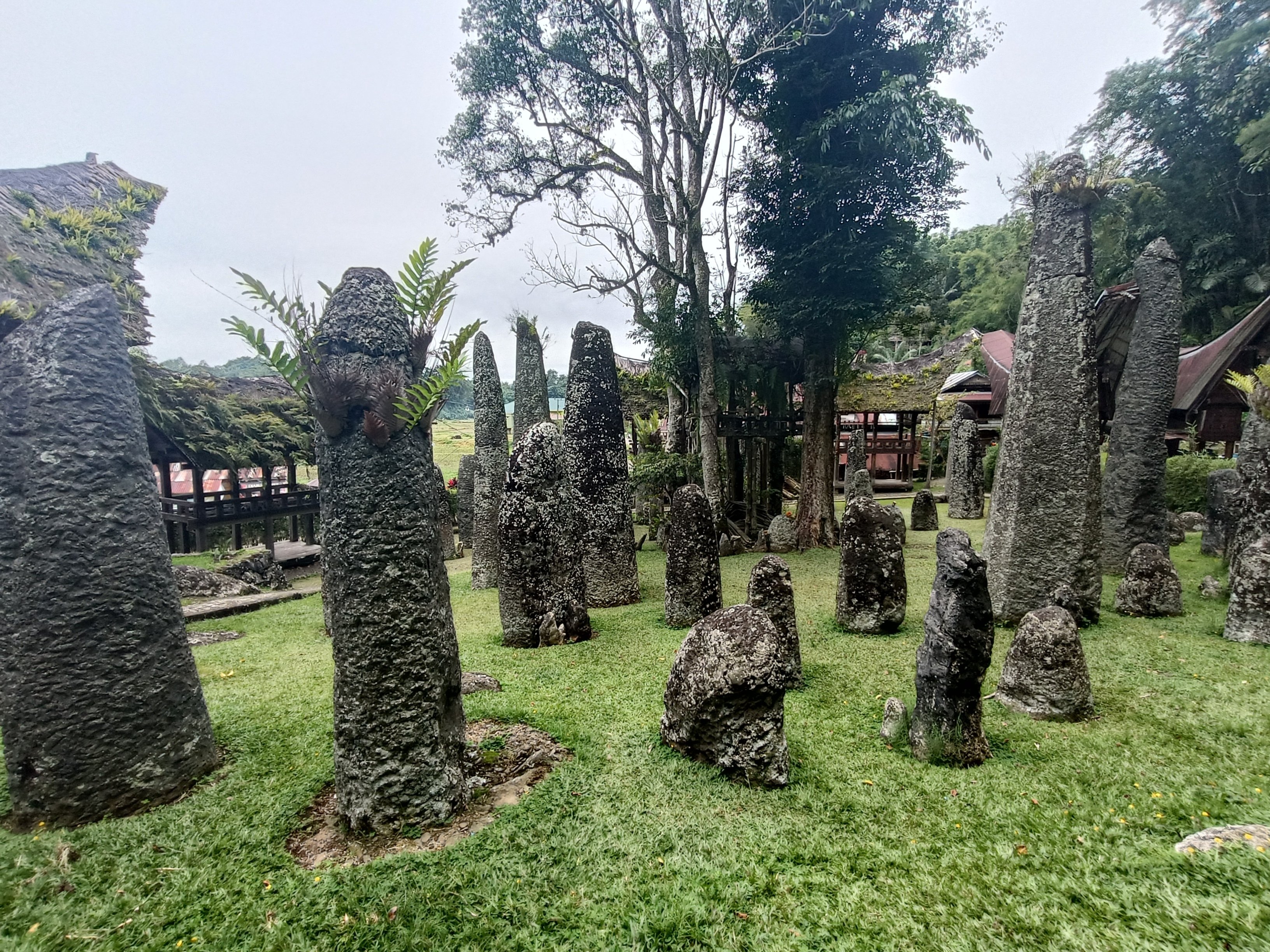 スラウェシ島の旅 タナ•トラジャ2日目｜ウダマコト | インドネシアで働く