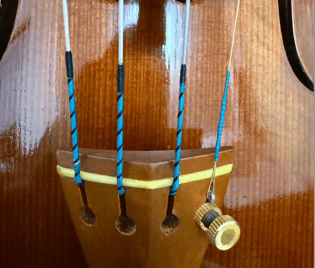 バイオリン弦】エヴァピラッツィ ネオが最高✨すぎる‼️｜のんびり☆