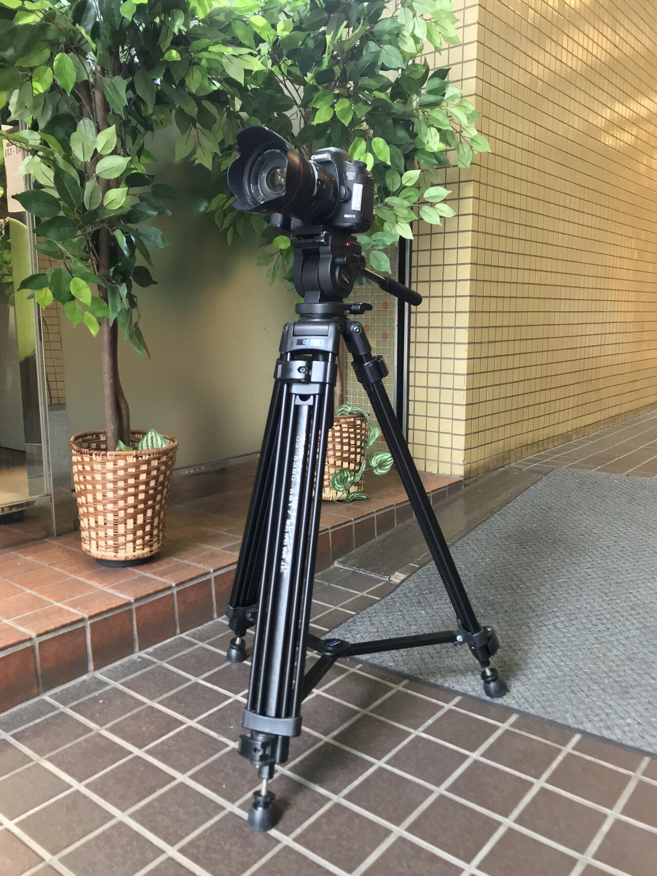 三脚くらべてみました ～Acebil（エースビル）＆SLIK（スリック）編