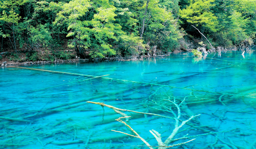 3359 外国切手 中国 1998年 世界自然文化遺産 九寨溝 3359 外国切手