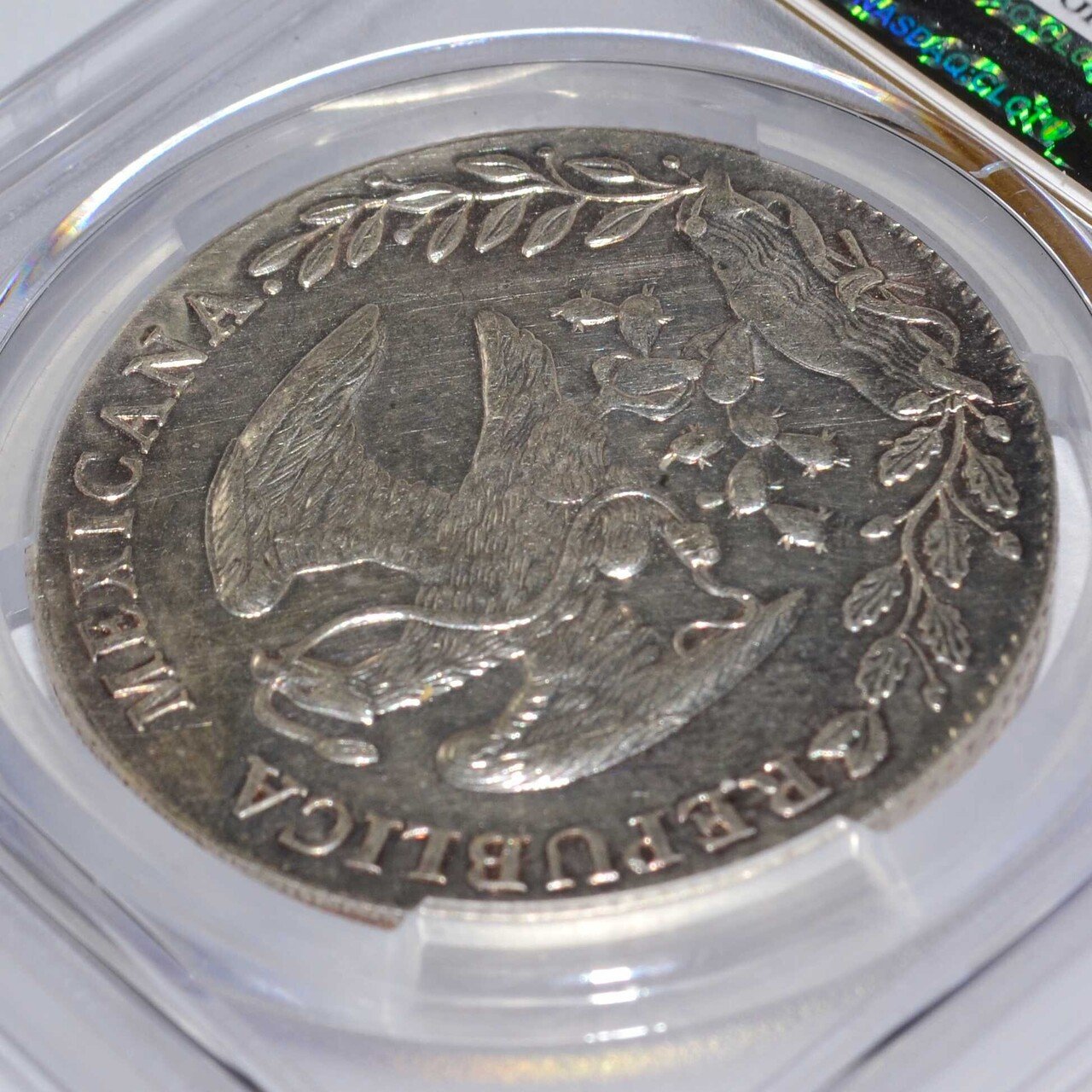 アンティークコインの世界｜メキシコ8レアル銀貨とスラブのおはなし