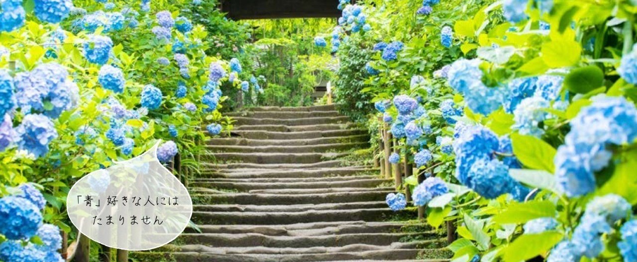 6月のTo Do リストはこれ。」梅雨が始まる時期だからこそ6月にしたい10