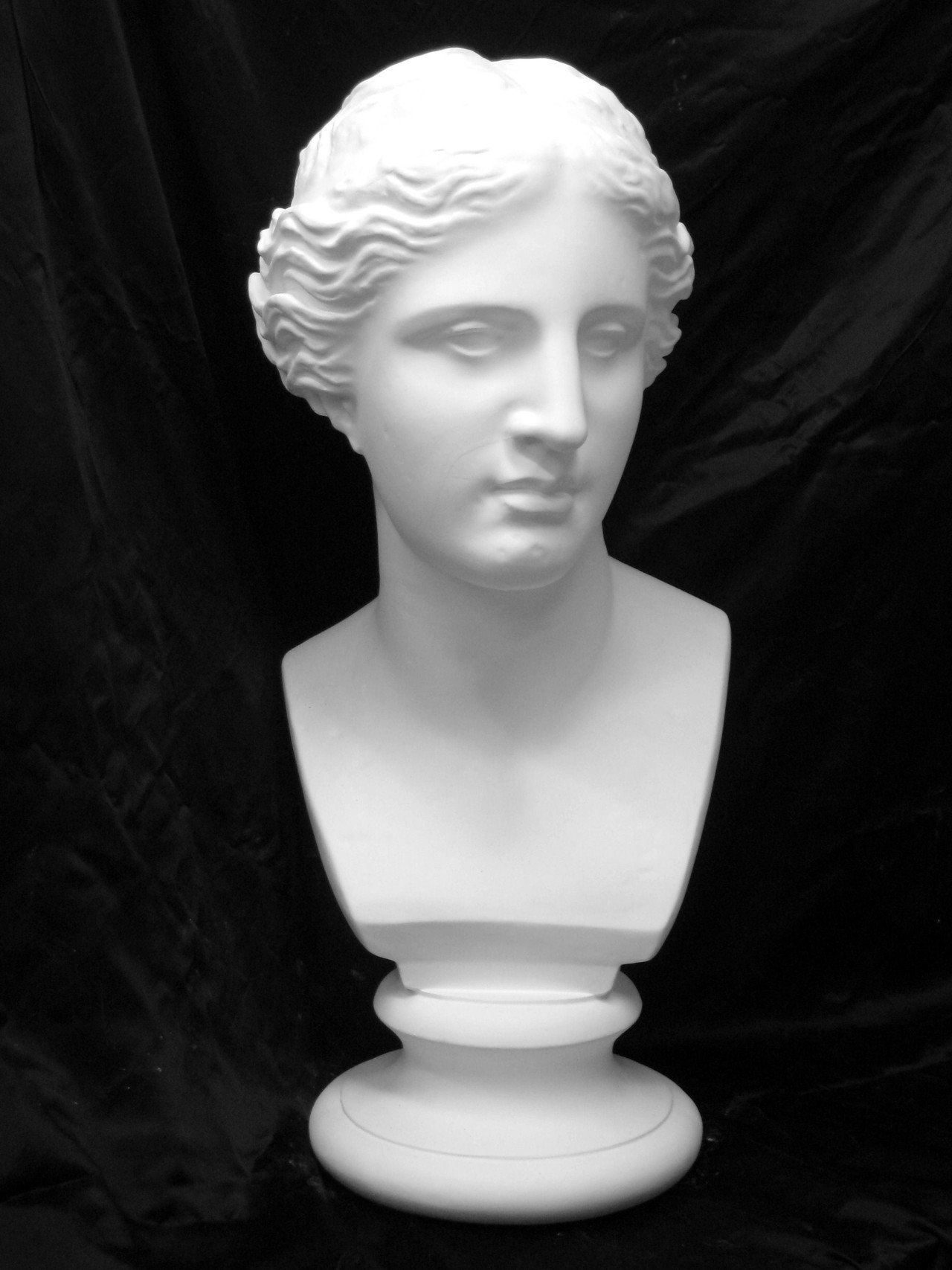 ミロのヴィーナス首像石膏像