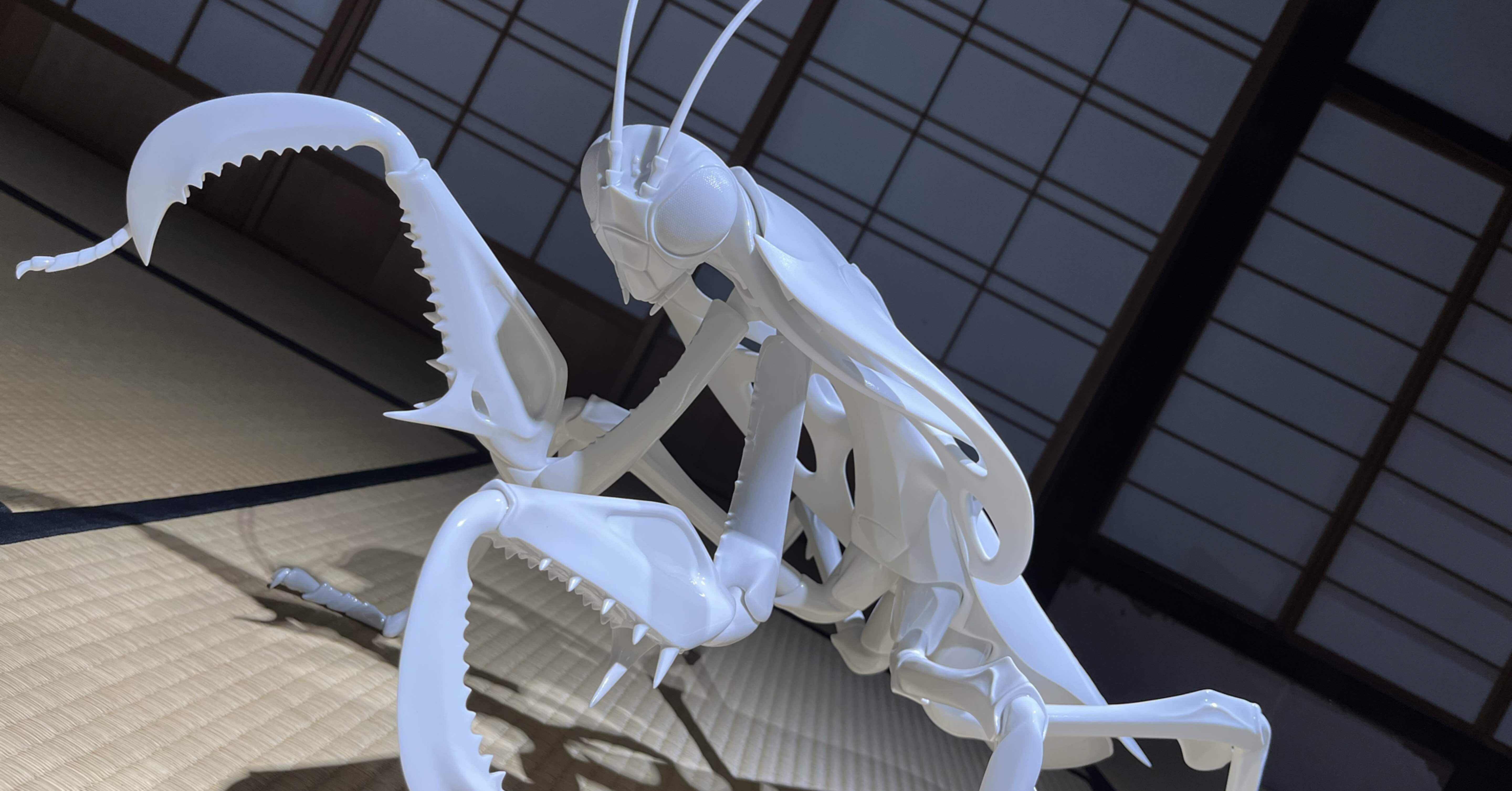 3b4f05fc36d769a8be623c3a8aa16c