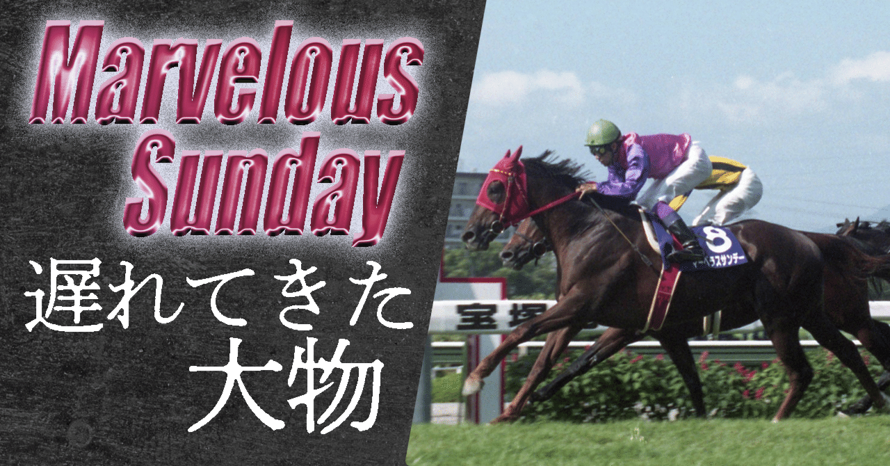 ミホシンザン 天皇賞春 現地的中単勝馬券 期限切れ 換金不可