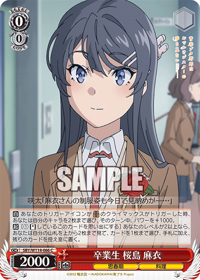 8扉青ブタ｜.EXE