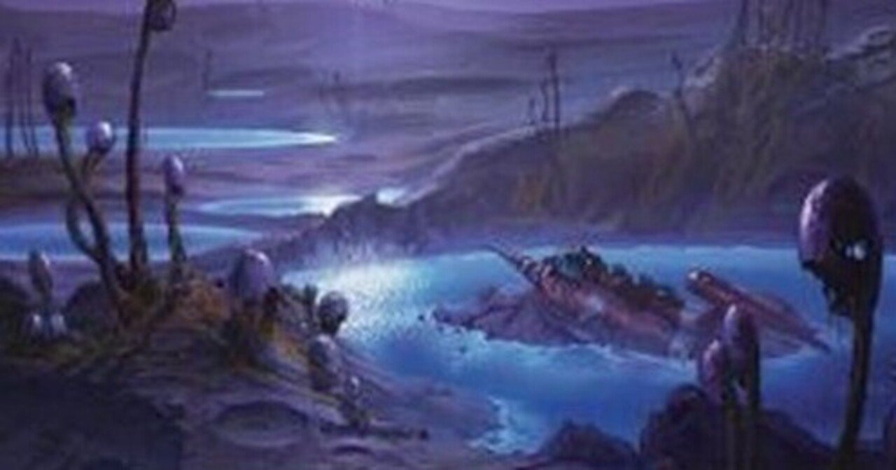 パイオニアの青黒デッキのあれこれ｜みやむー