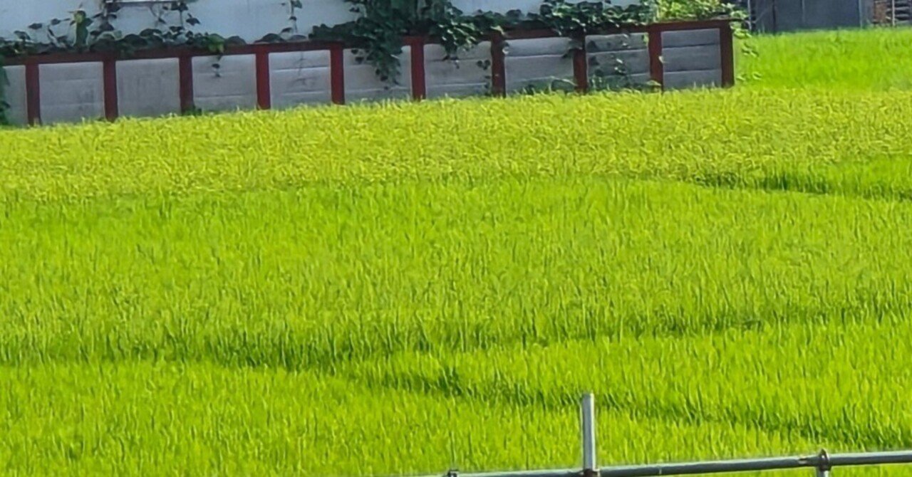 隣の芝生は青い様 ご依頼品 おもり部分 隣の芝生は青い様 ご依頼品