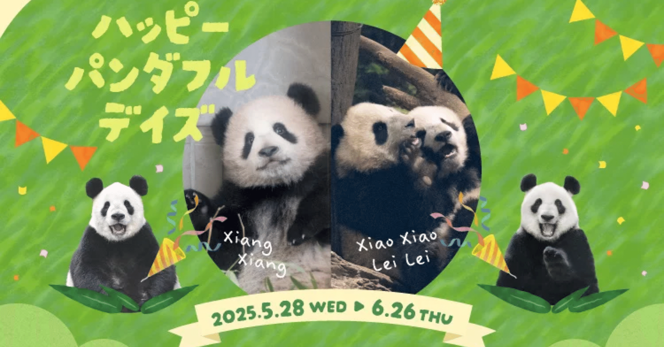 933613090b385cc1325f91830aed91