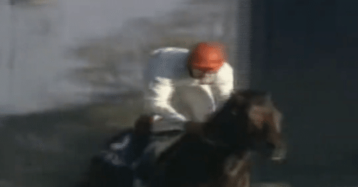 限定ワイン ジャパンカップ 2025 ボルドー ドウデュース カランダガン