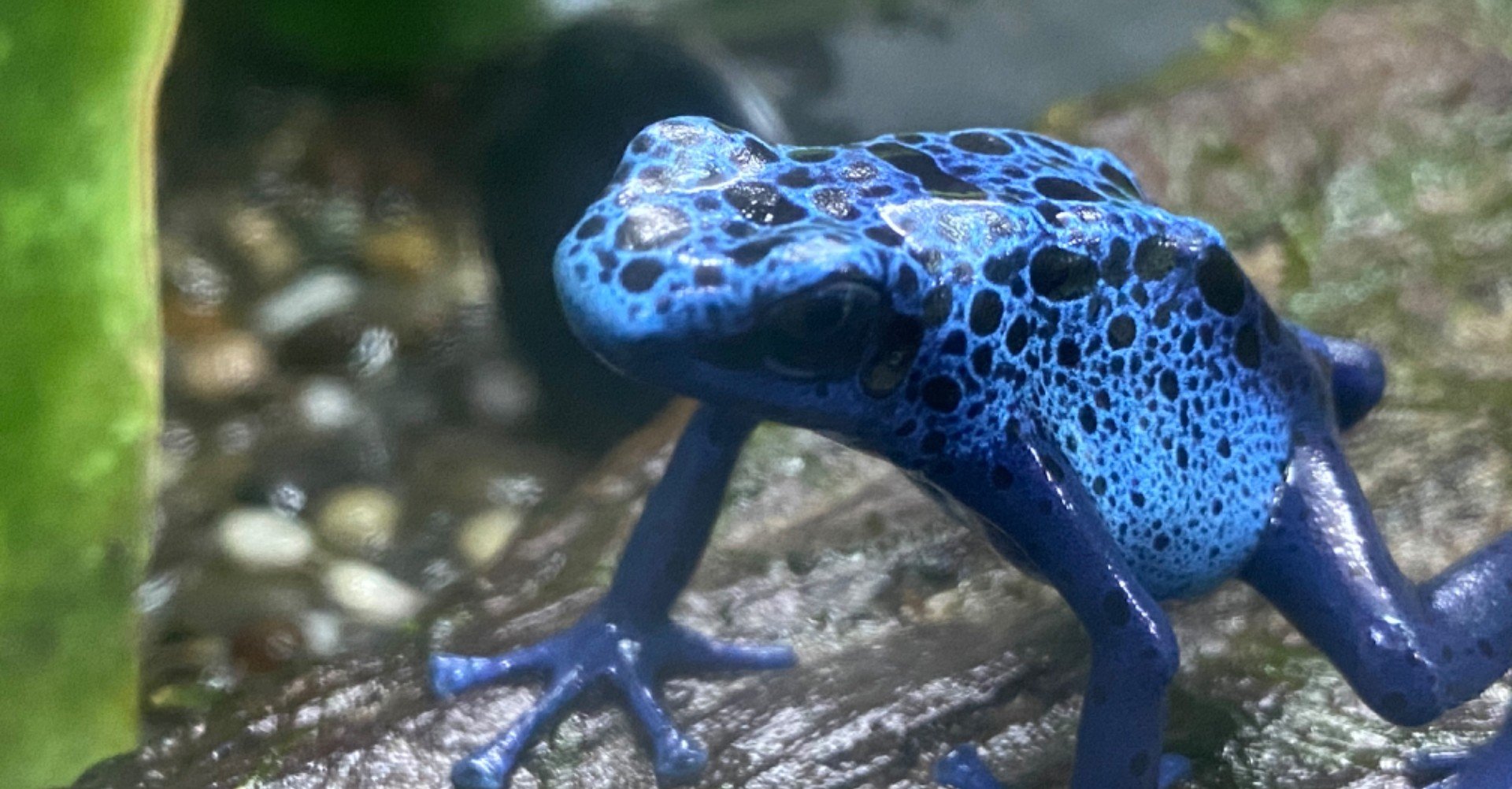 1f5d5a05e631e8f5f0c8faab24c547