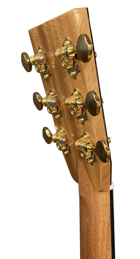 E.C. カスタム - ASTURIAS