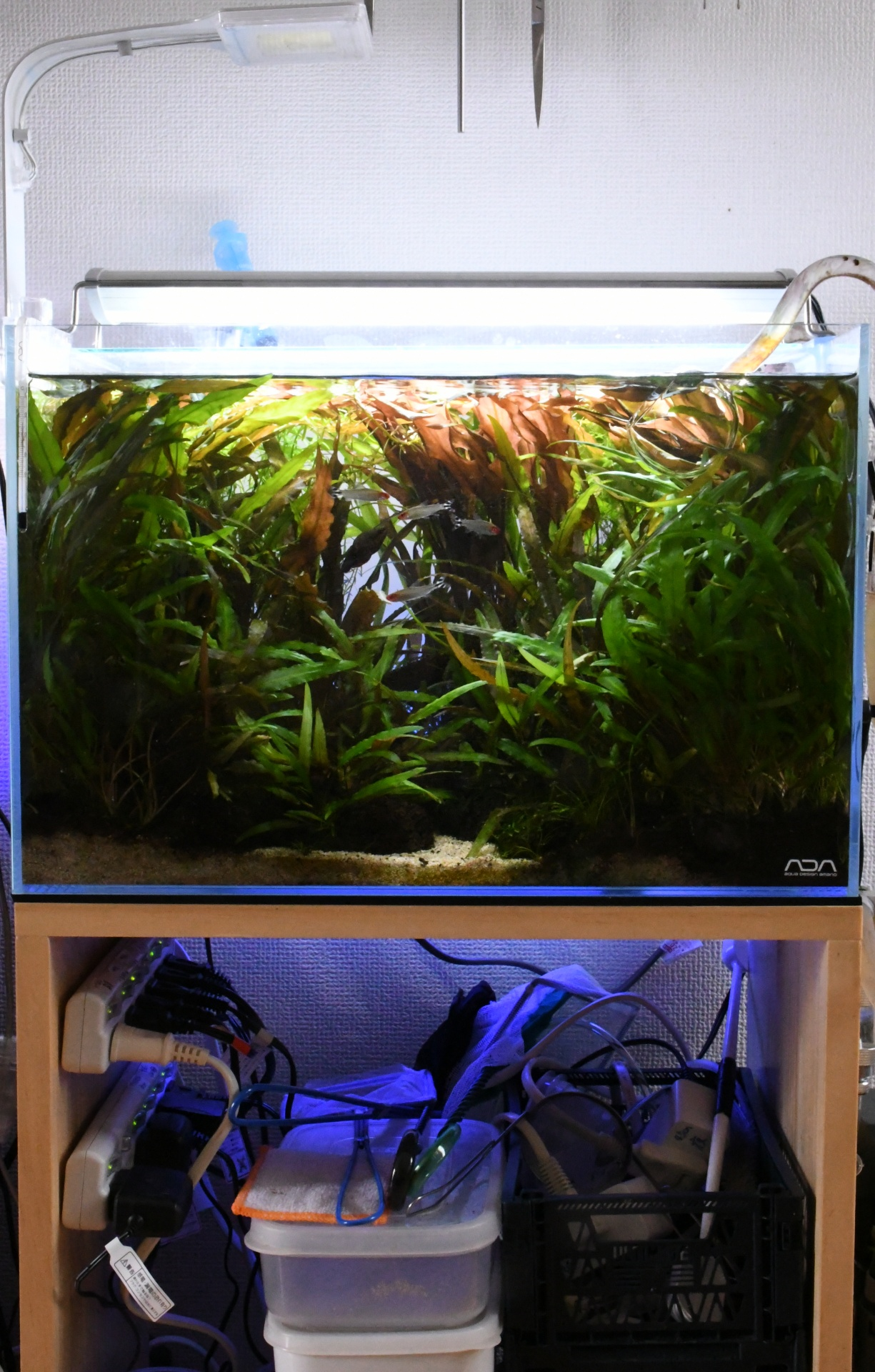 コトブキ 水槽台 プロスタイル900S 木目 90cm スリム水槽 水草 熱帯魚