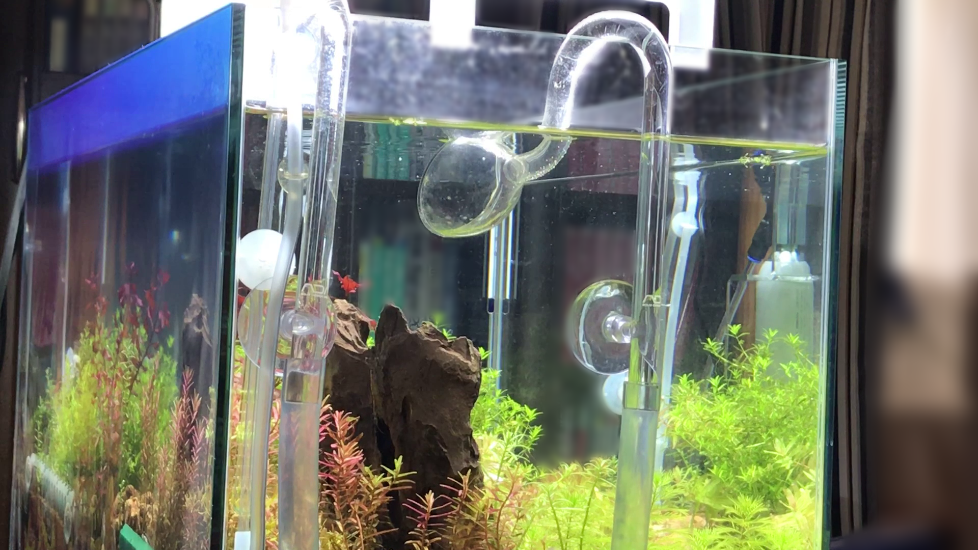 ADA ライトスクリーンW60xH36cm ADA ライトスクリーンW60xH36cm ADA