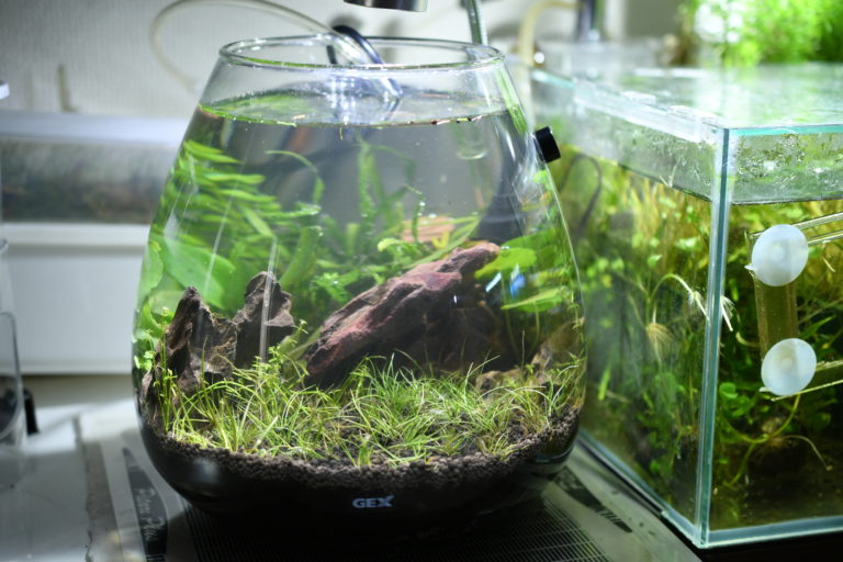 ADA ネイチャーアクアリウム プロピンセット等メンテナンスセット 水草