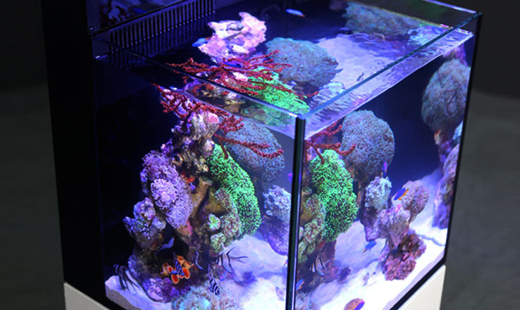 Red Sea Max Nano Reef System – Aqua Dreams