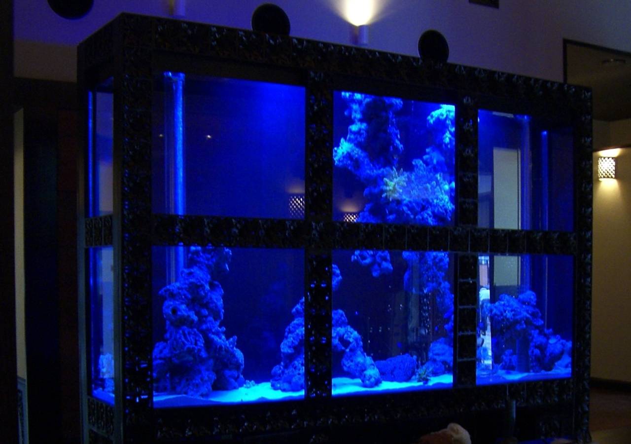 愛知県名古屋市で大型水槽やアクリル水槽ならアクアプランニング