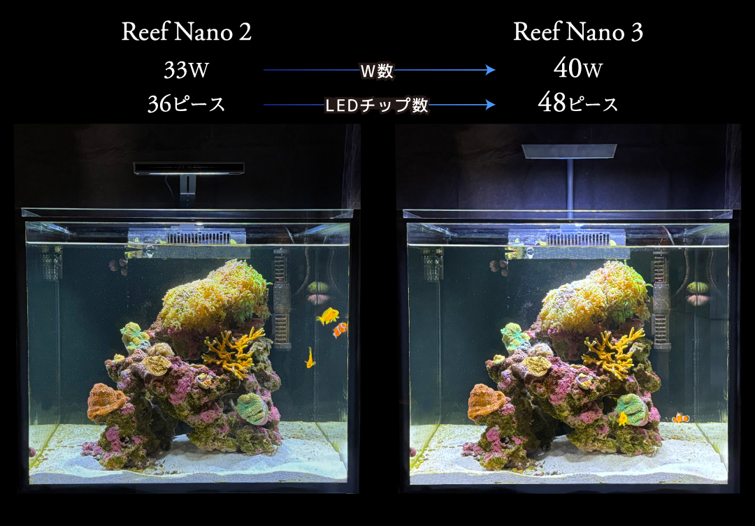 ZOOX】リーフナノミニ Reef Nano Mini ZOOX ReefNano Mini リーフ