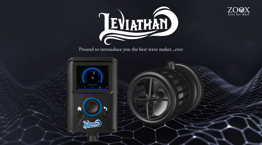 リヴァイアサン｜ZOOX｜MMC企画 レッドシー事業部