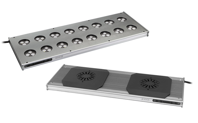 レブロン|ZOOX｜MMC企画 レッドシー事業部