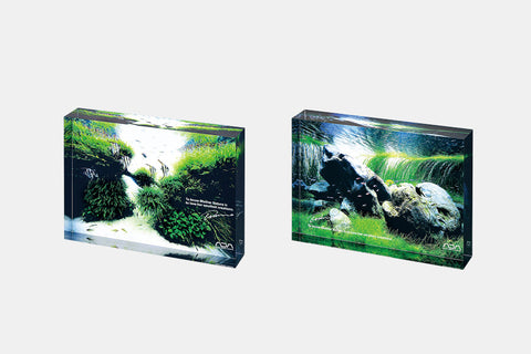 ADA CO2 Beetle Counter (Limited Edition) – Aqua Forest Aquarium