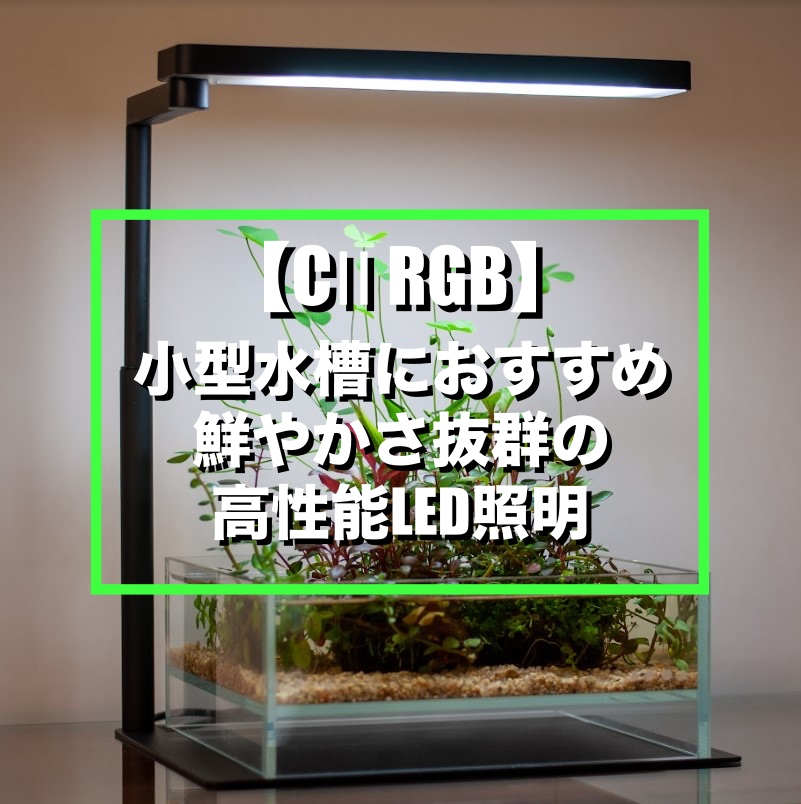 chihiros C2 RGB① Chihiros CⅡ RGB】鮮やかさ抜群！小型水槽に超