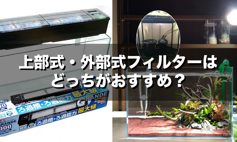 上部式・外部式フィルターはどっちがおすすめ？それぞれの特徴や