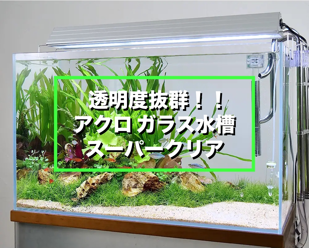 アクロ スーパークリア パルダリウム水槽 60×30×45cm 楽天市場