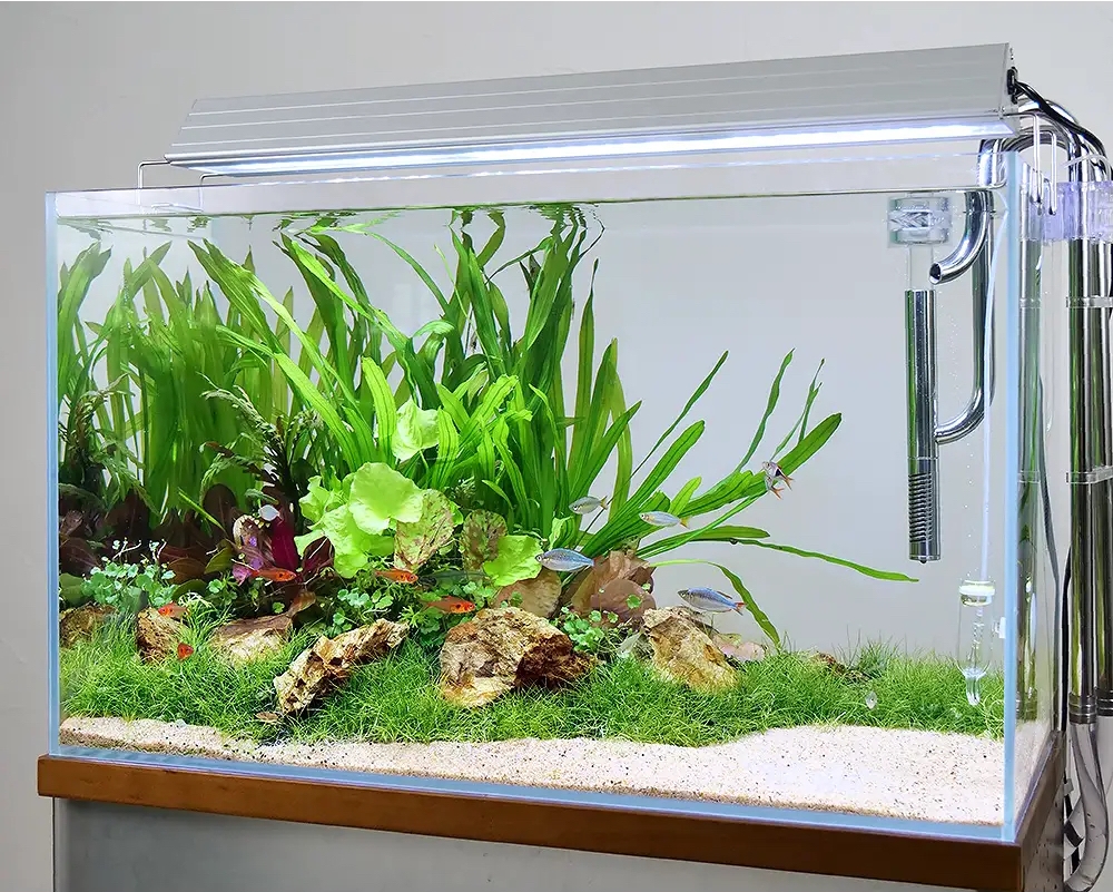 引取限定】ADA 30cm水槽＋Do!Aqua キャビネット＋水槽関連品 引取限定