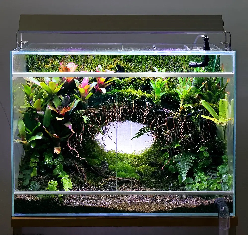 20%OFF )ADA60センチ水槽