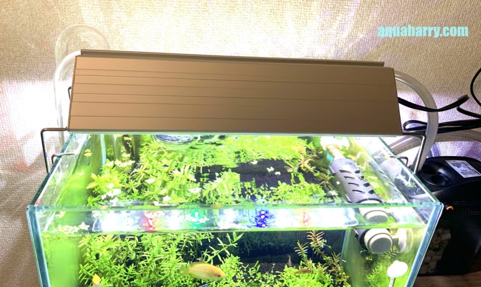 まっきー様専用】アクロ TRIANGLE GROW 600 逆さ毛鉤さん購入用です アクロ