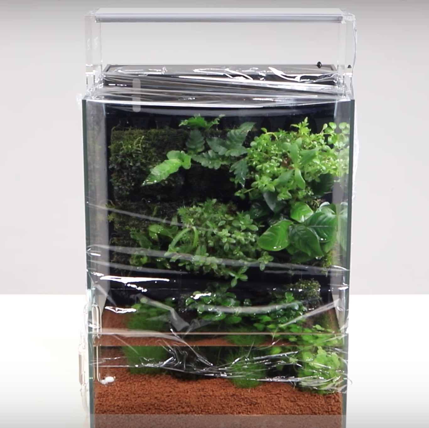 aasdaa22311_2000x.jpg?v=1661824544