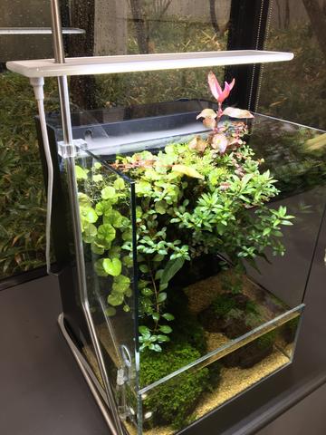 aasdaa2235_2000x.jpeg?v=1661824554