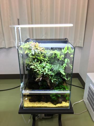 aasdaa2236_2000x.jpeg?v=1661824556