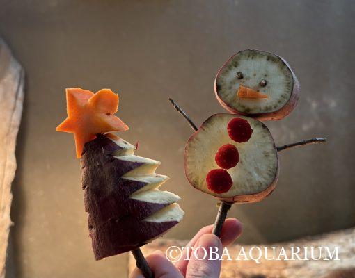 プレゼントどうぞ | 鳥羽水族館 飼育日記