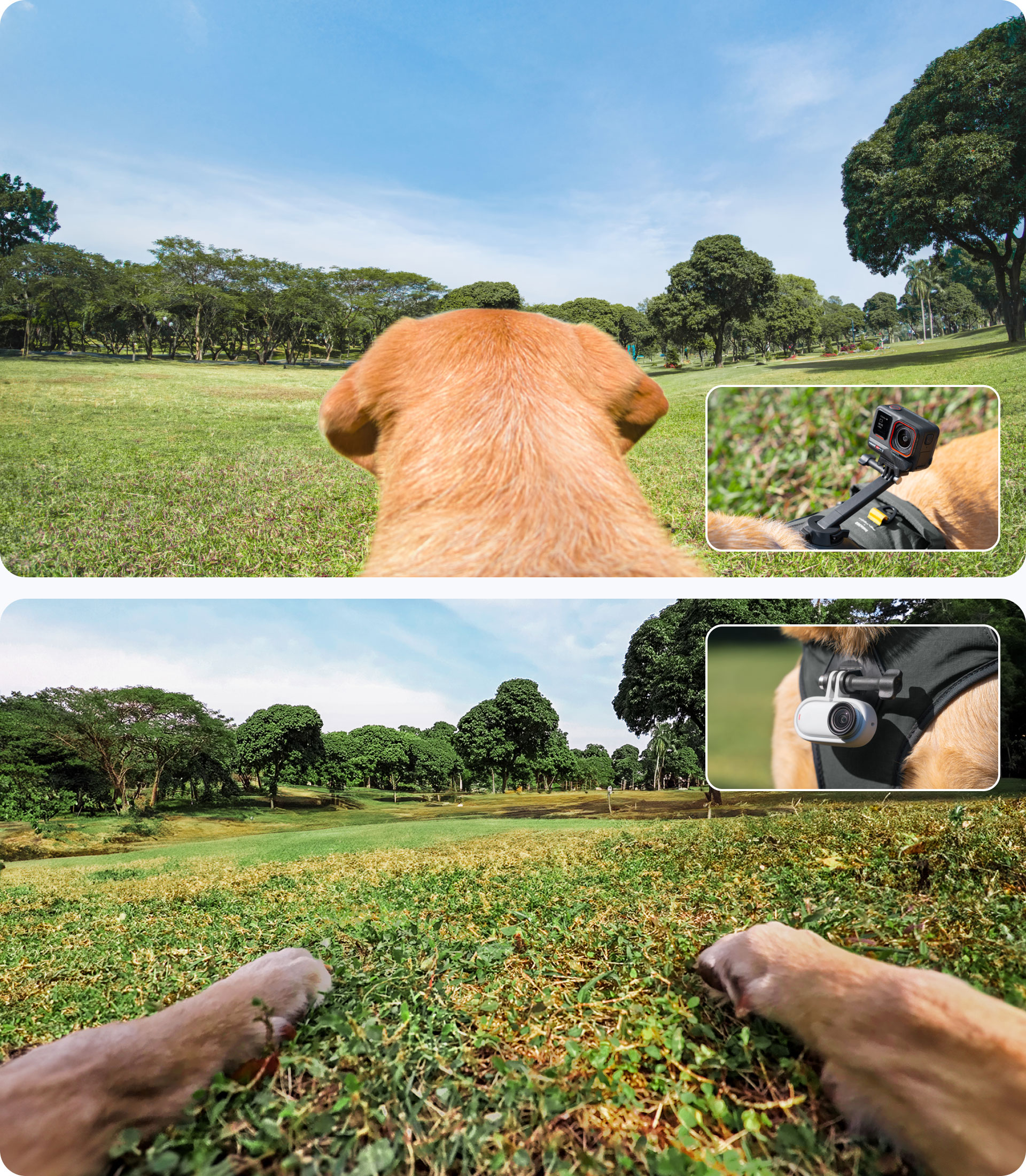 Insta360 ペット用ハーネスマウント Lサイズ - 株式会社アーキサイト