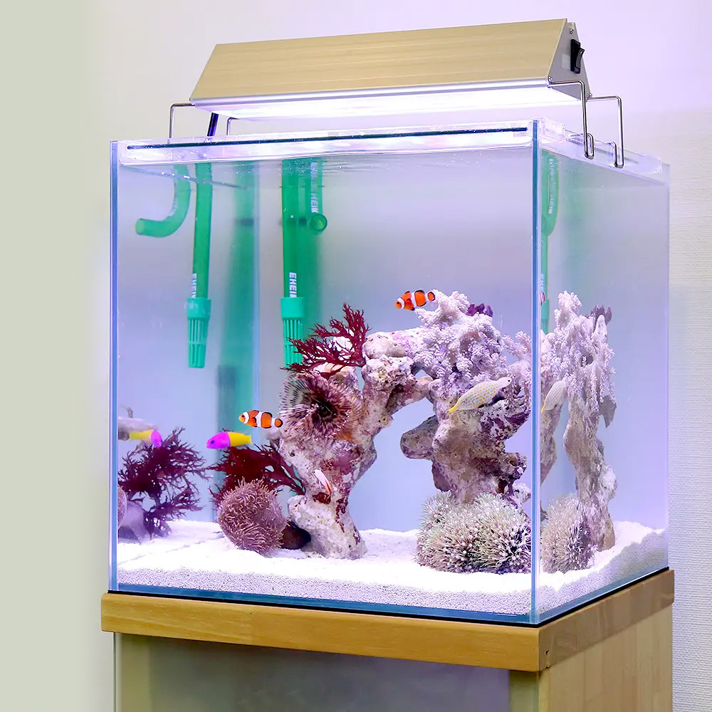 海水魚用水槽+周辺機器