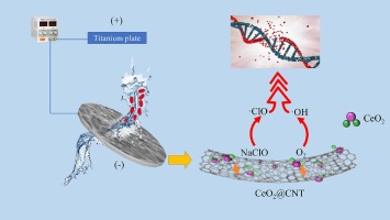 Removing antibiotic resistance genes through the synergistic