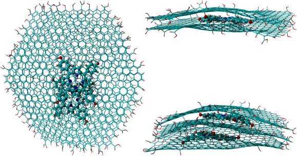 A full carbon-based thermoplastic photocatalyst for organic